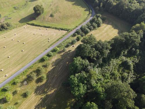 DJI_3068.JPG